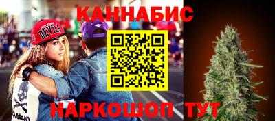 стаф Донской
