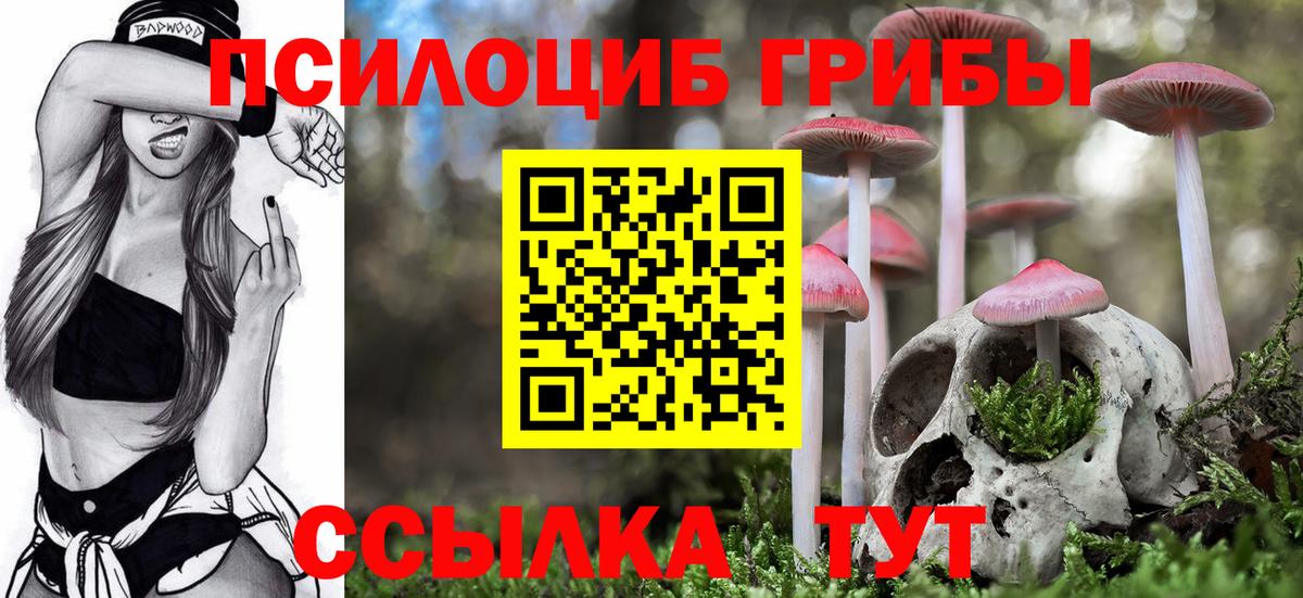 Минусинск  Галлюциногенные грибы мухоморы  Вход с VPN 